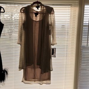 Never worn, beautiful silver dress. Tags still on.